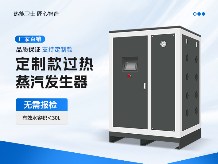 定制款過熱蒸汽發(fā)生器